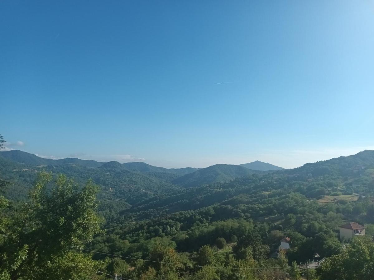 Appartamento La Pineta It010-058C20-Tj54093 Serra Rocco Kültér fotó